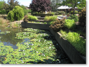 Pondside tasting lounge