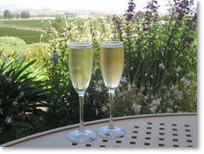 Two flutes of sparkling wine